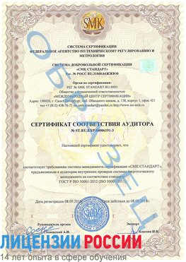 Образец сертификата соответствия аудитора №ST.RU.EXP.00006191-3 Сосновоборск Сертификат ISO 50001
